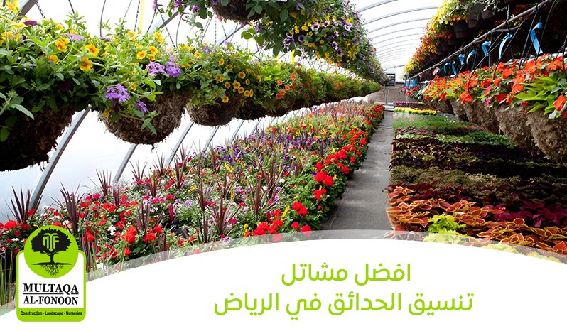 أفضل مشاتل تنسيق حدائق في الرياض