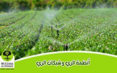 الري وأنظمة شبكات الري: دليلك الشامل لإدارة المياه بفعالية