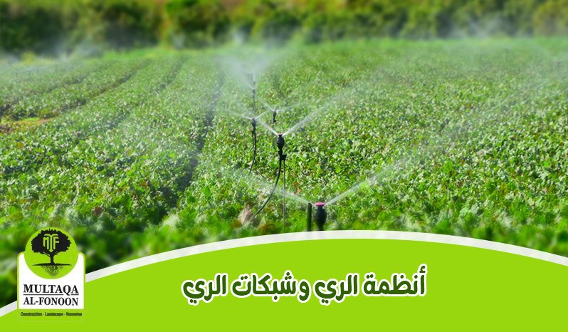 : صورة توضيحية لأنظمة الري الحديثة وشبكات الري المستخدمة في الحدائق والمزارع لضمان وصول المياه بدقة وكفاءة.