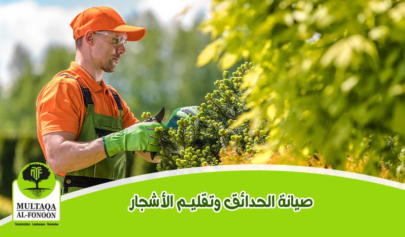 صيانة الحدائق وتقليم الأشجار – خدمات احترافية للمسعامل يقوم بتقليم أحد الشجيرات داخل حديقة خضراء كجزء من أعمال صيانة الحدائق وتقليم الأشجار.احات الخضراء