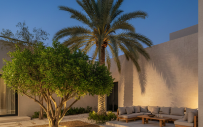 حكاية من قلب الصحراء: عندما تعود “الأصالة” لتزين قصورنا