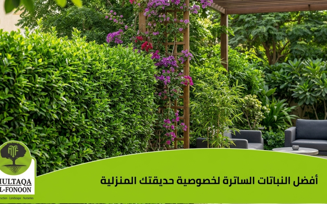 أفضل 5 حلول ذكية لزيادة خصوصية حديقتك المنزلية باستخدام النباتات السواتر