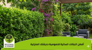 أفضل طرق زيادة خصوصية الحديقة بالنباتات.