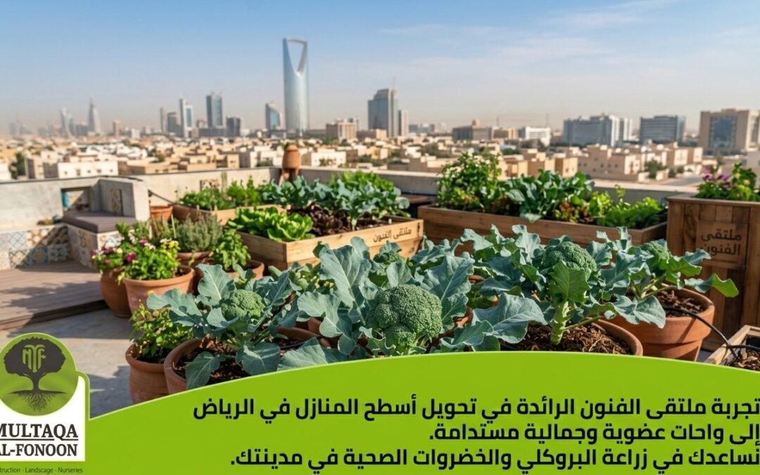 زراعة البروكلي على الأسطح في الرياض: دليل شركة ملتقى الفنون