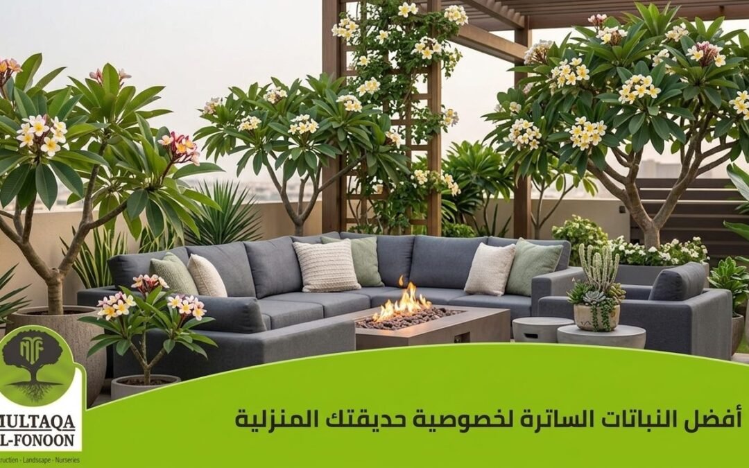 الياسمين الهندي.. عطر الفخامة فوق سطحك مع  ملتقى الفنون