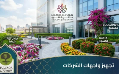واجهة شركتك تعكس هويتك: دليل “ملتقى الفنون” لتنسيق حدائق الشركات واختيار الزهور المثالية