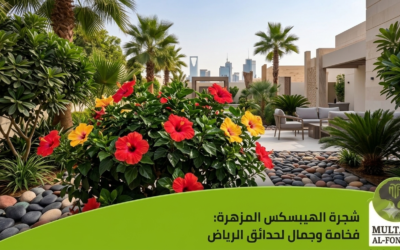 شجيرة الهيبسكس (الخبيز الصيني) في الرياض: دليل الزراعة والعناية الشامل