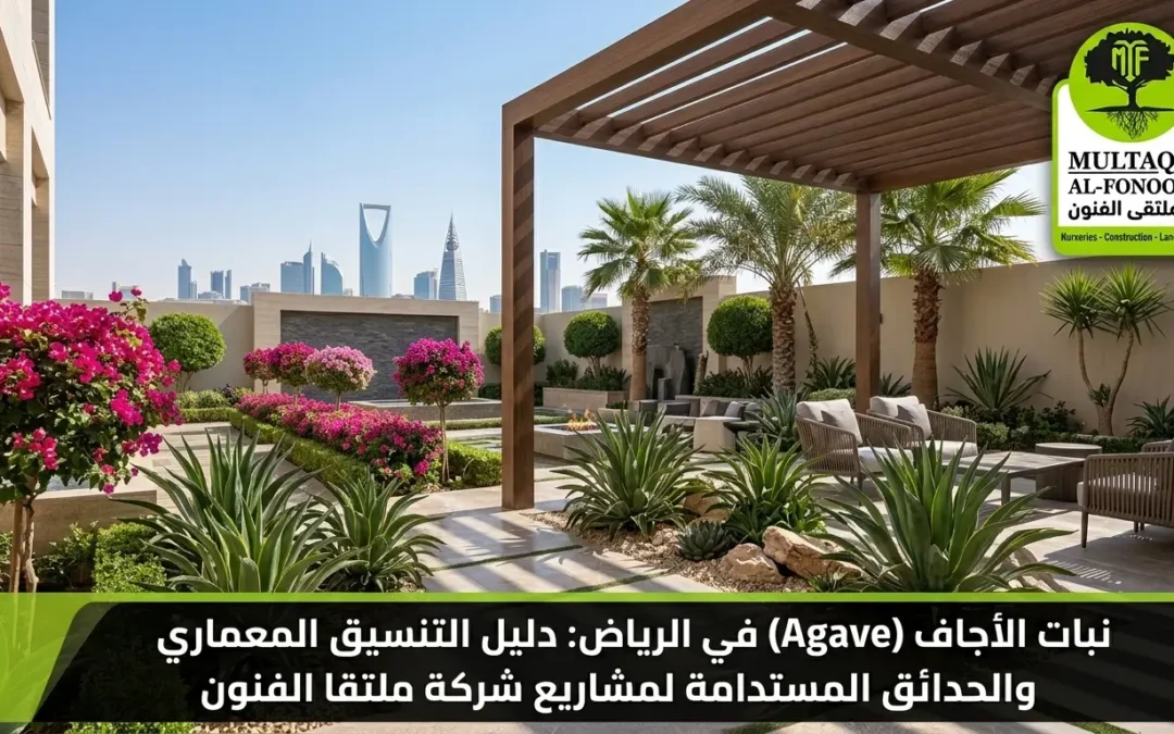 نبات الأجاف في الرياض: دليل التنسيق والعناية | ملتقا الفنون