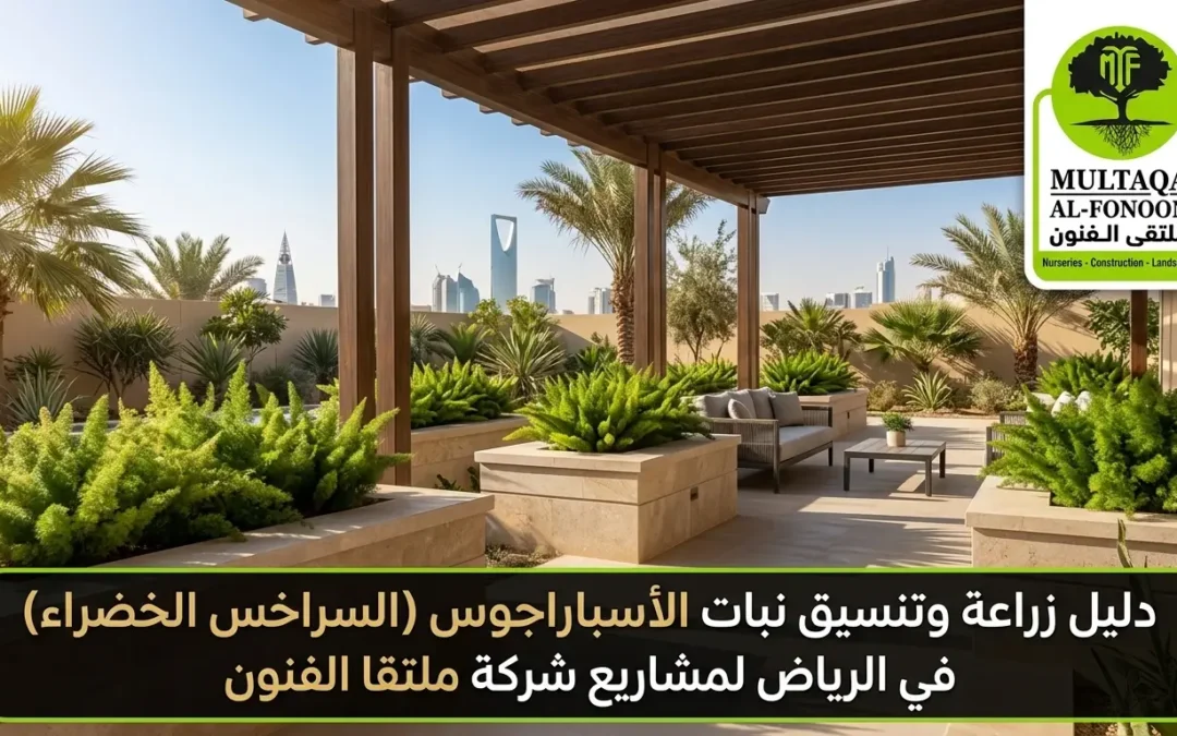 نبات الأسباراجوس بالرياض: دليل الزراعة والتنسيق | ملتقا الفنون
