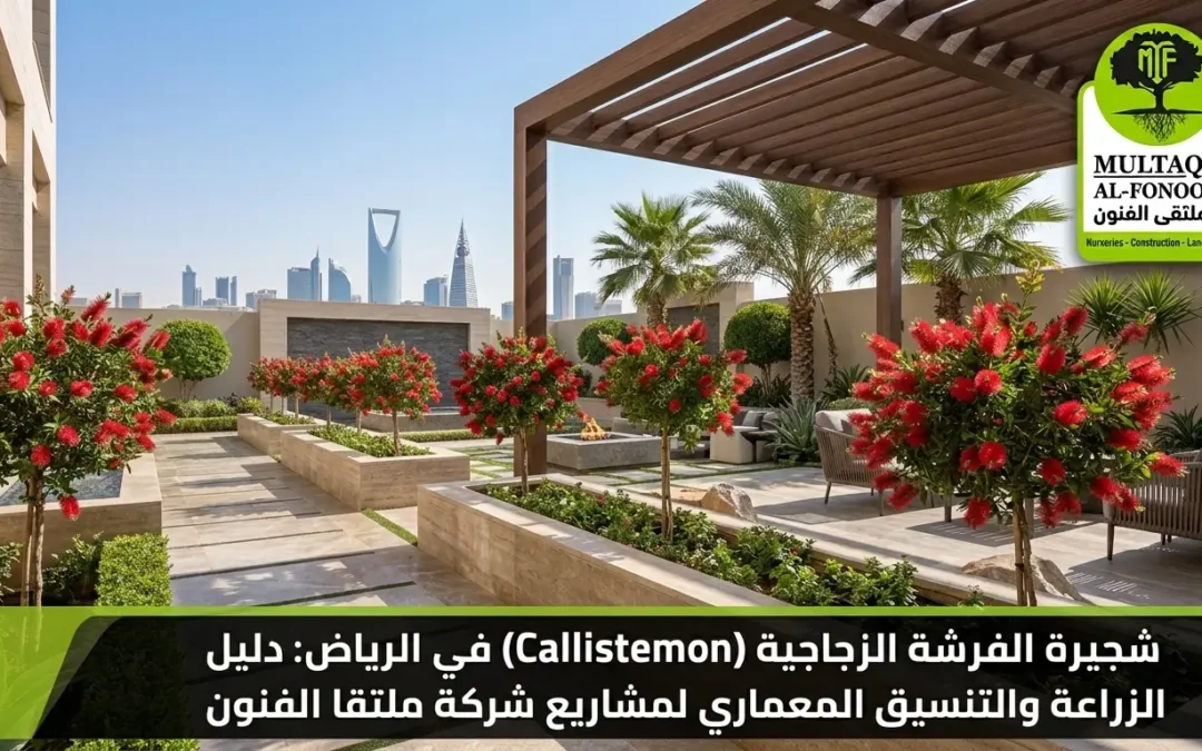 الفرشة الزجاجية بالرياض: دليل الزراعة والتنسيق | ملتقا الفنون