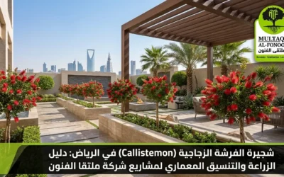 الفرشة الزجاجية بالرياض: دليل زراعة وتنسيق الشجيرة العطرية | ملتقا الفنون
