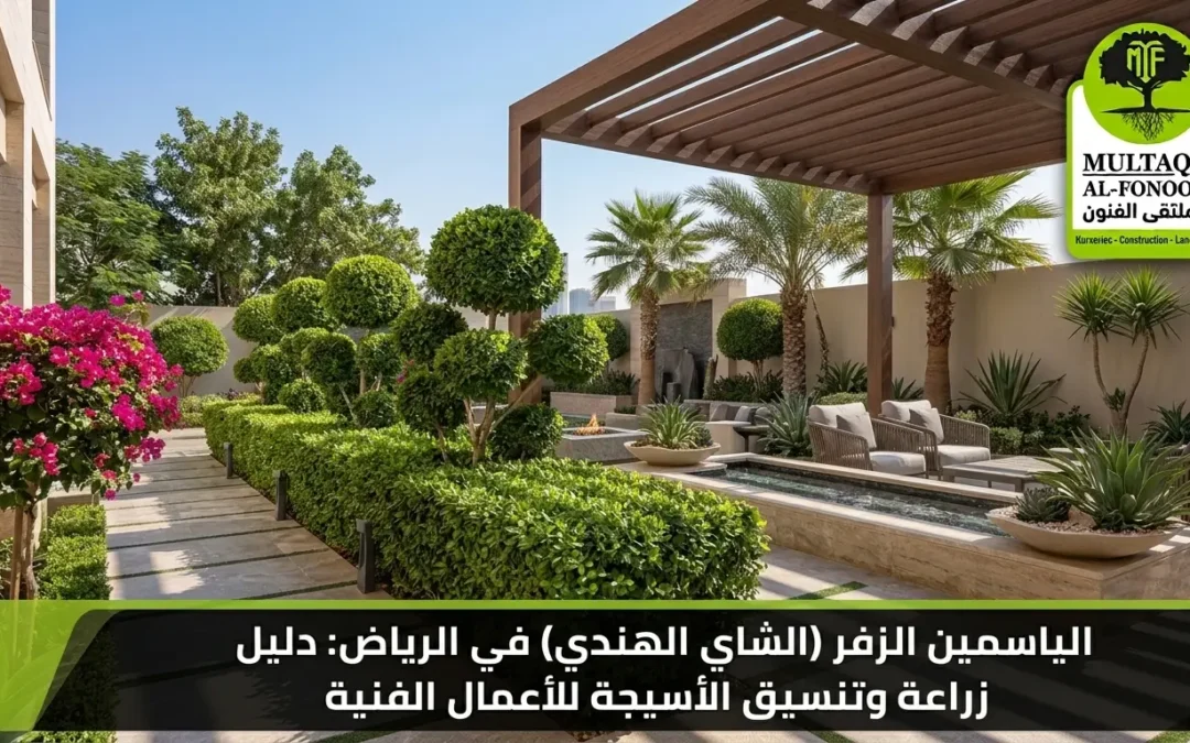 الياسمين الزفر بالرياض: دليل زراعة وتنسيق الشاي الهندي | ملتقا الفنون