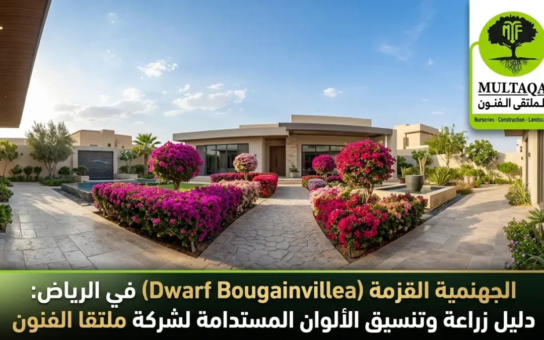 الجهنمية القزمة بالرياض: دليل الزراعة والتنسيق | ملتقا الفنون